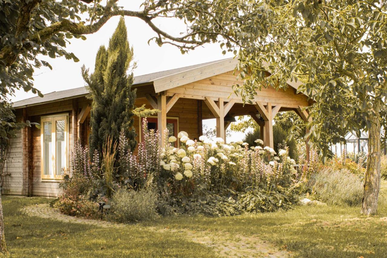 Chalet Ben In Broek Benningbroek Esterno foto