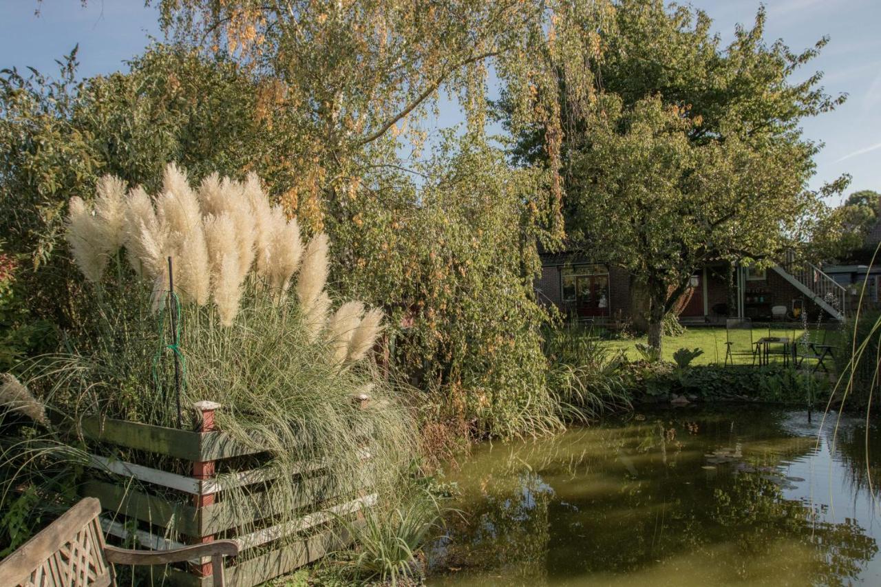 Chalet Ben In Broek Benningbroek Esterno foto
