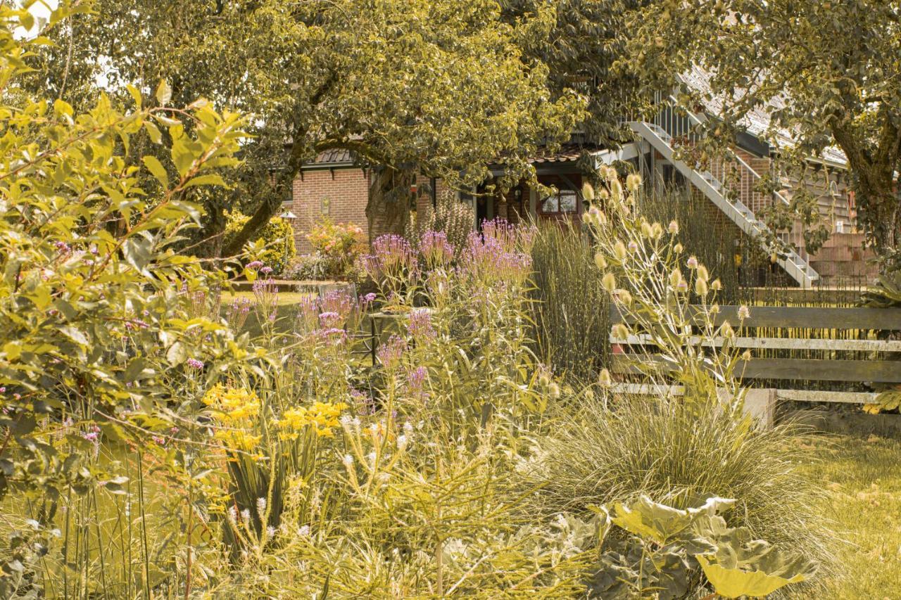 Chalet Ben In Broek Benningbroek Esterno foto